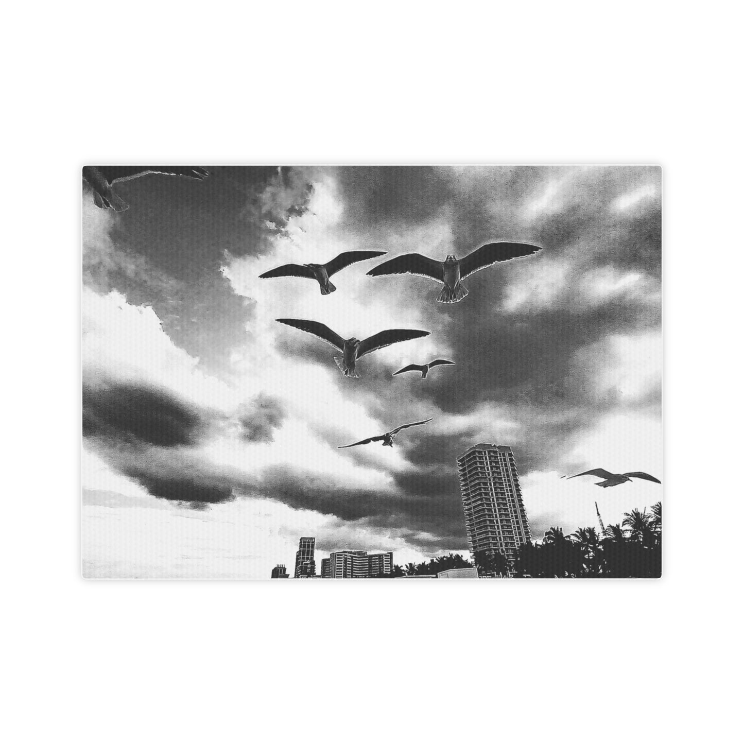 Miami seagulls Canvas Photo Tile