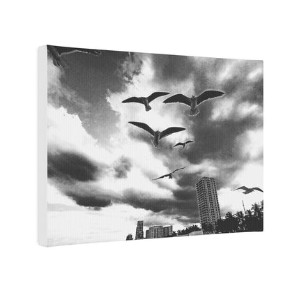 Miami seagulls Canvas Photo Tile